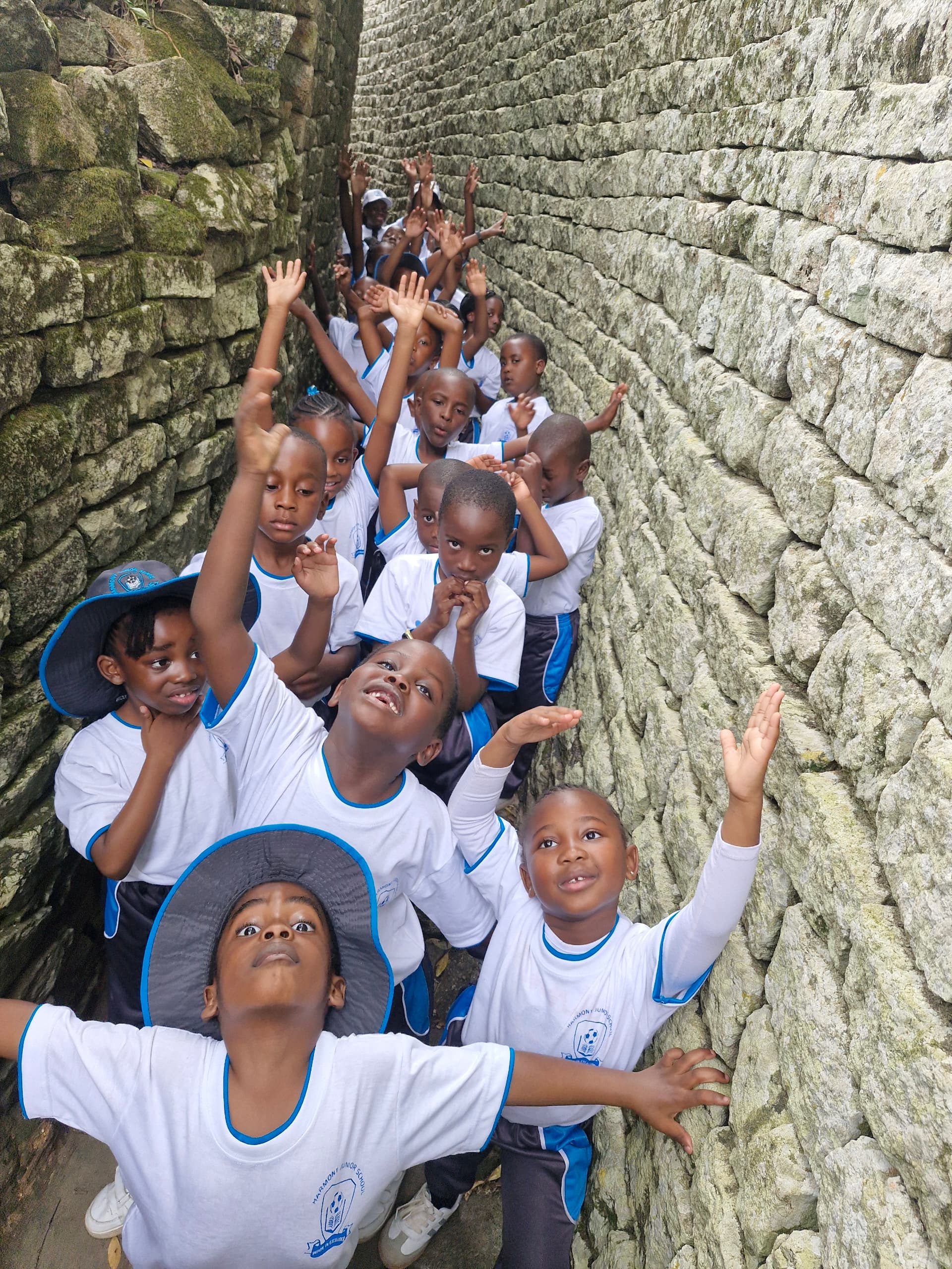 Harmony Junior School